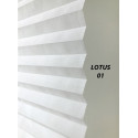 LOTUS SERİSİ